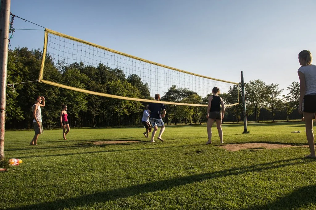 green-volley-comité-sarthe-volley